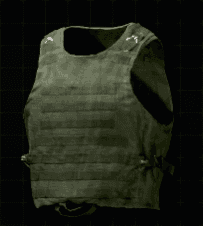 Molle Vest