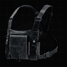 Universal Chest Bag