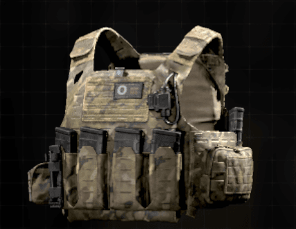 Plate6 Plate Carrier