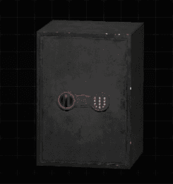 Large Safe