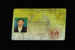 Driver's Licence